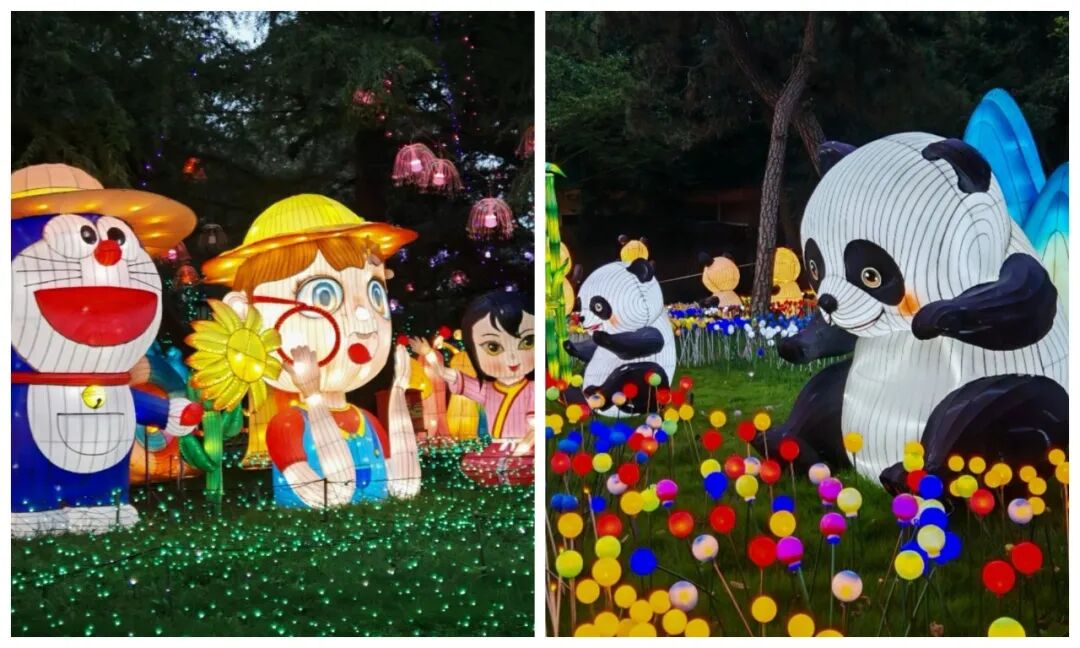 2026青岛艺术灯会